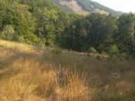 Prodaja, plac, 60800m², Brezojevica, Plav - image 3