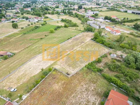 Sale, land lot, 6000m², Zeta, Podgorica - image 3
