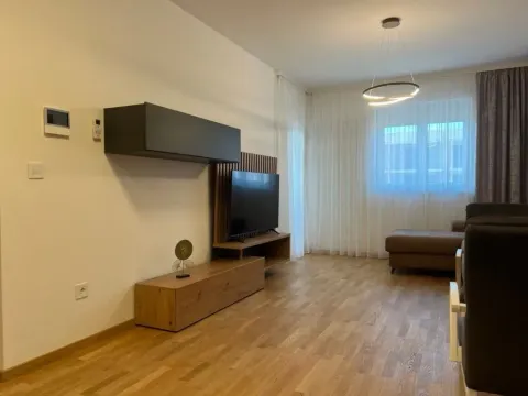 Izdavanje, jednosoban stan, 45m², Stari Aerodrom, Podgorica - image 4