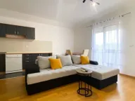 Izdavanje, jednosoban stan, 67m², Zagorič, Podgorica - image 8