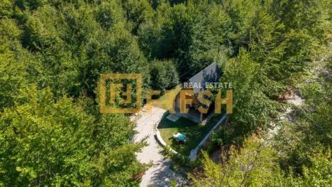 Pogled iz vazduha na vikendicu okruženu šumom i zelenilom. - image 6