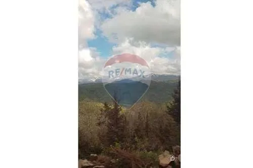 Sale, land lot, 16350m², Kolašin, Crna Gora