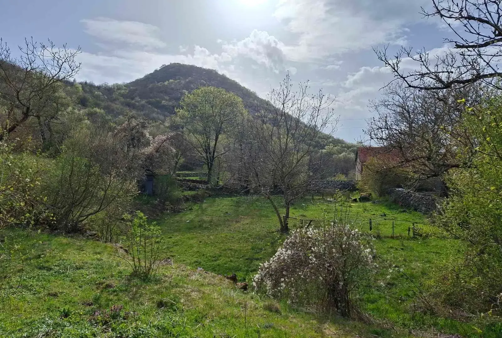 Prodaja, plac, 2032m², Kuči, Podgorica