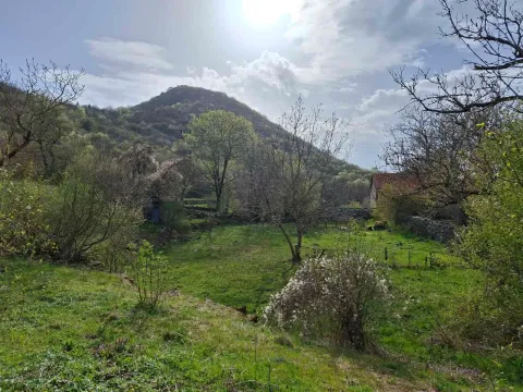 Prodaja, plac, 2032m², Kuči, Podgorica - image 4