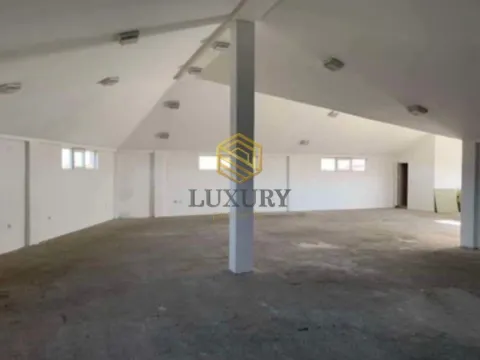 Izdavanje, poslovni prostor, 350m², Golubovci, Podgorica - image 5