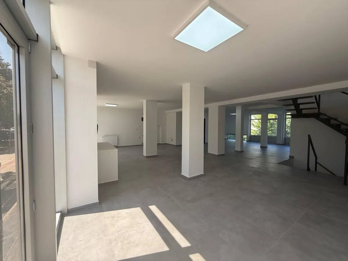 Rent, office space, 349m², Bulevar patrijarha Pavla, Novi Sad Sve Podlokacije