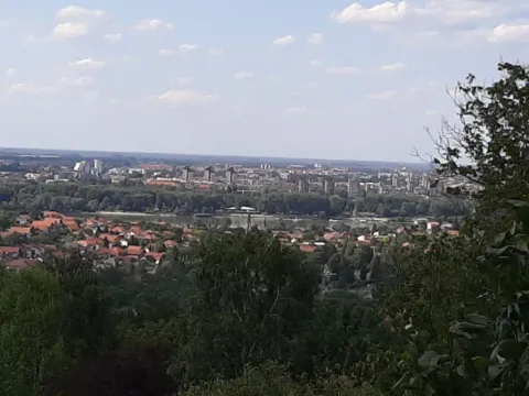 Sale, house, 220m², Novi Sad Sve Podlokacije, Novi Sad - image 9