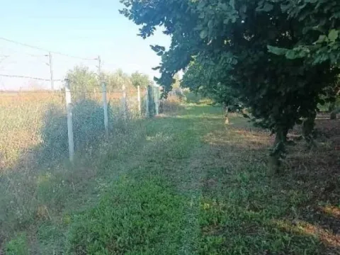 Prodaja, plac, 114m², Nova Pazova, Stara Pazova - image 5