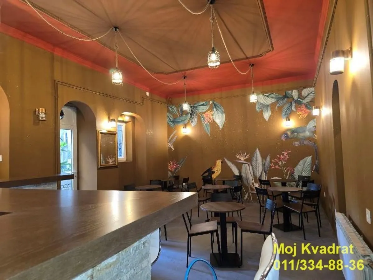 Rent, office space, 40m², Vračar Sve Podlokacije, Beograd