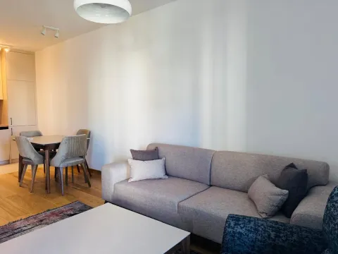 Izdavanje, jednosoban stan, 47m², City Kvart, Podgorica - image 2