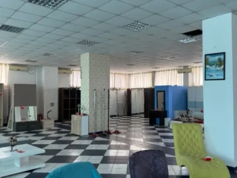 Izdavanje, poslovni prostor, 2500m², Zeta, Podgorica - image 5