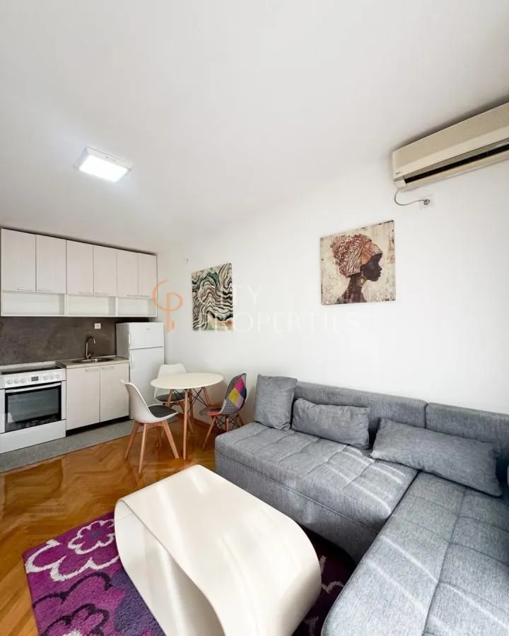 Izdavanje, stan, 21m², Blok 5, Podgorica