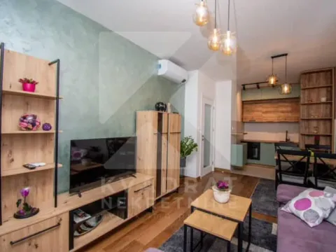 Izdavanje, jednosoban stan, 50m², Tološka šuma, Podgorica - image 5