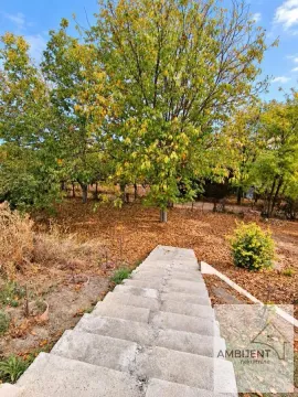 Betonsko stepenište koje vodi u dvorište puno drveća i opalog lišća. - image 4
