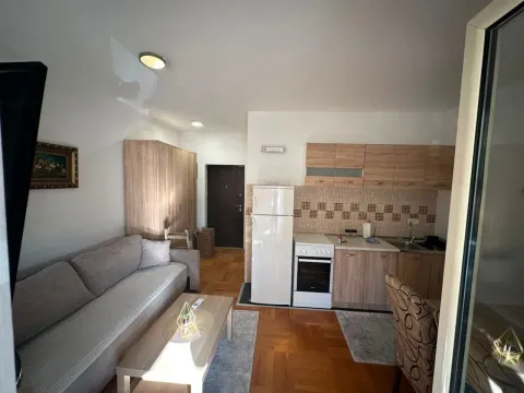 Rent, studio apartment, 30m², Zabjelo, Podgorica - image 9