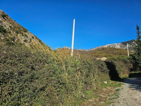 Prodaja, plac, 1494m², Bečići, Budva - image 3