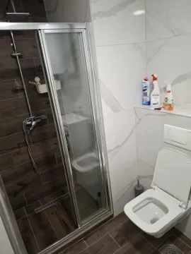 Modernly equipped bathroom with a shower cabin and toilet. - image 13