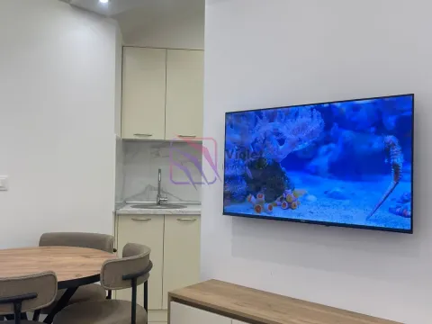 Izdavanje, jednosoban stan, 55m², Zagorič, Podgorica - image 8