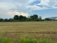 Prodaja, plac, 16995m², Danilovgrad, Crna Gora - image 5