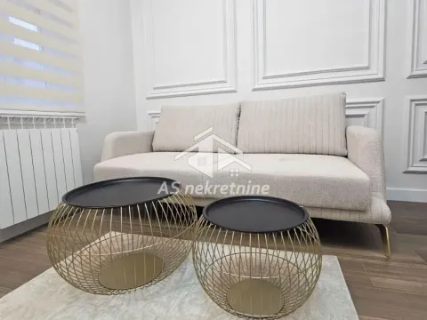 Izdavanje, stan, 30m², Tašmajdan, Palilula Sve Podlokacije