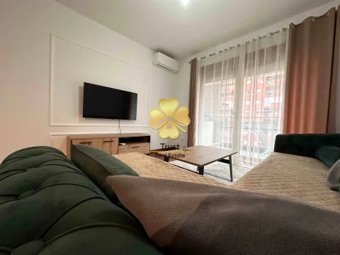 Izdavanje, jednosoban stan, 52m², Master Kvart, Podgorica - image 3