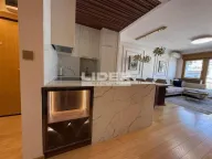 Izdavanje, trosoban stan, 60m², Vračar Centar, Vračar Sve Podlokacije - image 14