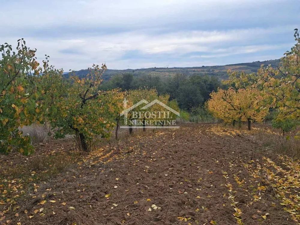 Prodaja, plac, 6900m², Grocka, Beograd