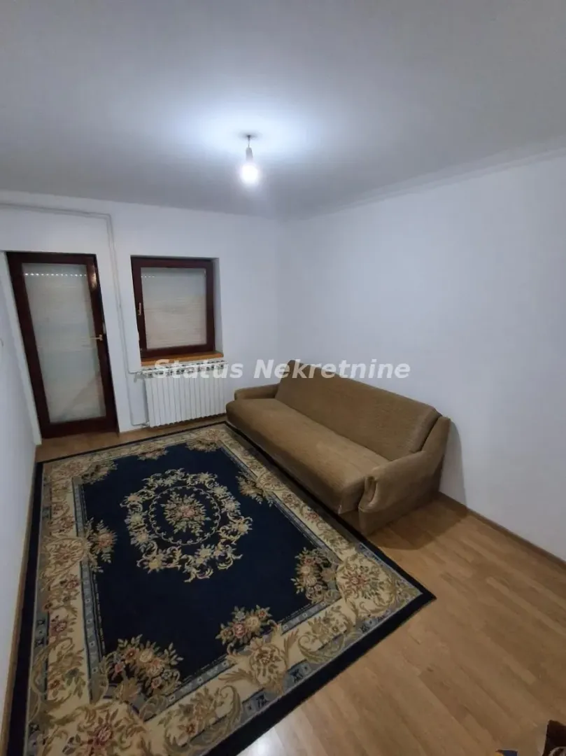 Smaller living room with a sofa and a rug.