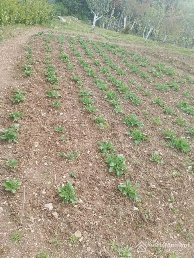 Prodaja, kuća, 110m², Zelenika, Herceg Novi