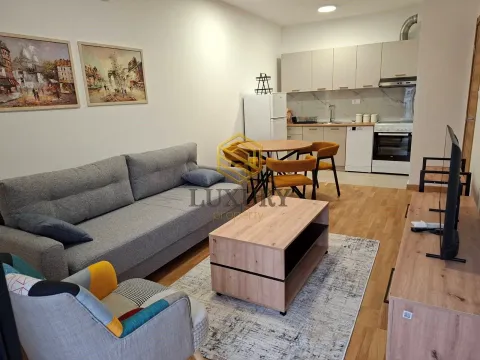 Izdavanje, jednosoban stan, 40m², Tološi, Podgorica - image 1