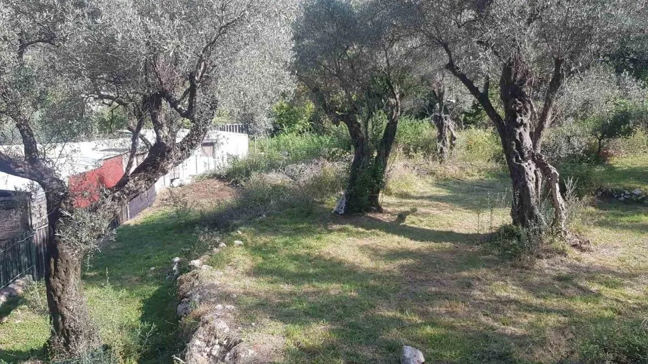 Prodaja, plac, 3413m², Bartula, Bar