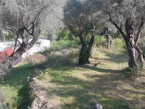 Prodaja, plac, 3413m², Bartula, Bar - image 2