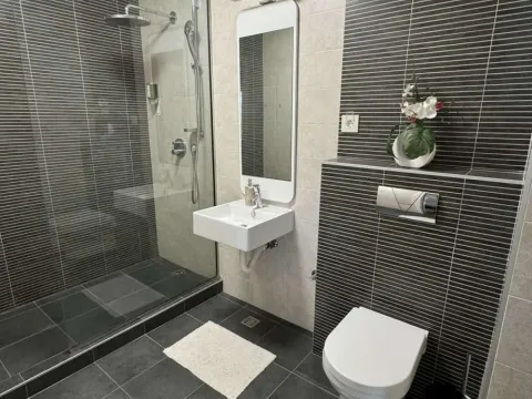 Sale, apartment, 270m², Stari Košutnjak, Rakovica - image 9