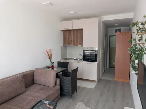Izdavanje, garsonjera, 24m², Stari Aerodrom, Podgorica - image 3