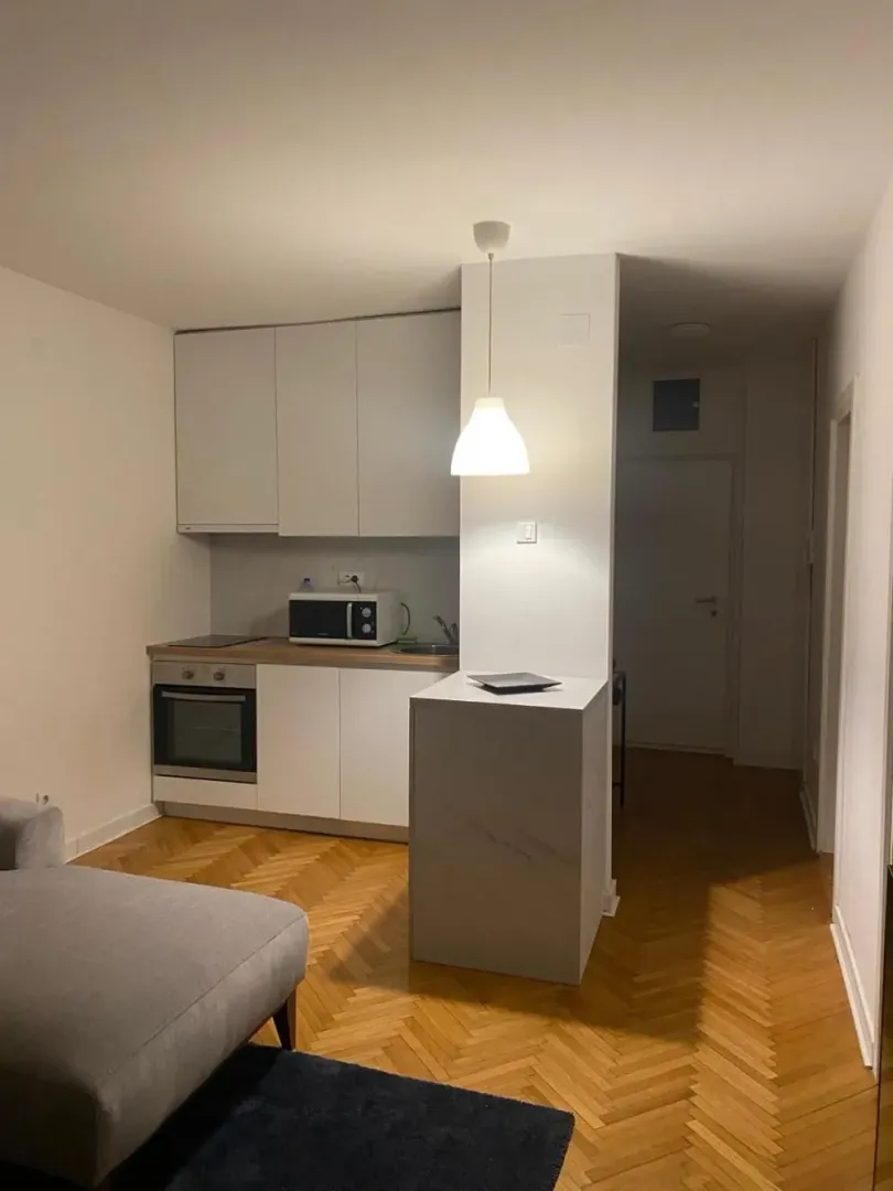 Izdavanje, trosoban stan, 44m², Novi Beograd Blok 1 Fontana, Novi Beograd Sve Podlokacije