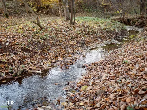 Sale, office space, 230m², Topola, Srbija - image 13