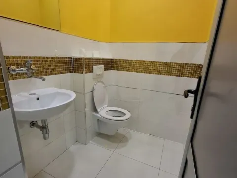 Rent, office space, 140m², Rumenka, Novi Sad Sve Podlokacije - image 7