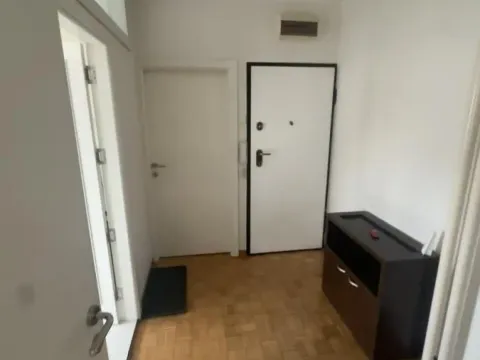 Izdavanje, dvosoban stan, 55m², Novi Beograd Sve Podlokacije, Beograd - image 5