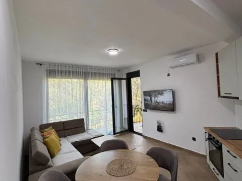 Izdavanje, jednosoban stan, 48m², Šušanj, Bar