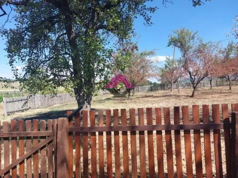 Sale, house, 583m², Progoreoci, Arandjelovac - image 17