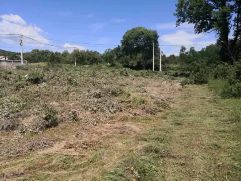 Sale, land lot, 2000m², Bandići, Danilovgrad - image 2