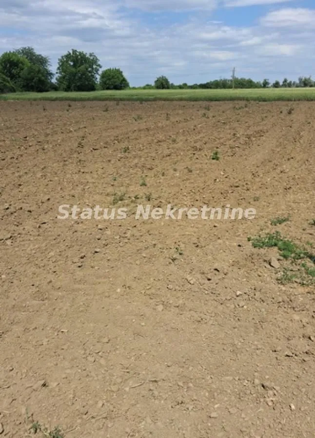 Prodaja, plac, 720m², Begeč, Novi Sad Sve Podlokacije