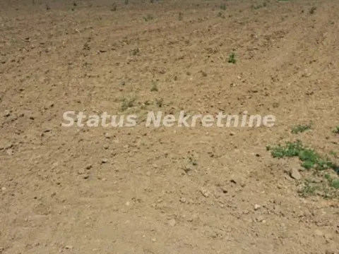 Prodaja, plac, 720m², Begeč, Novi Sad Sve Podlokacije - image 6