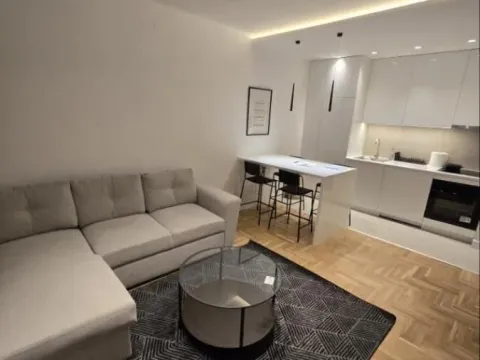 Rent, one bedroom apartment, 40m², Grbavica, Novi Sad Sve Podlokacije - image 6