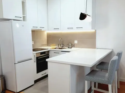 Rent, one bedroom apartment, 45m², Tošin bunar, Novi Beograd Sve Podlokacije - image 4
