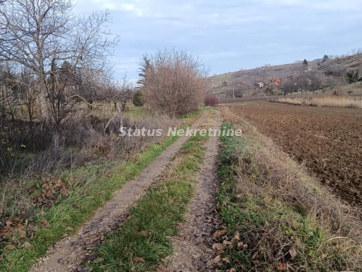 Prodaja, plac, 3333m², Sremski Karlovci, Novi Sad