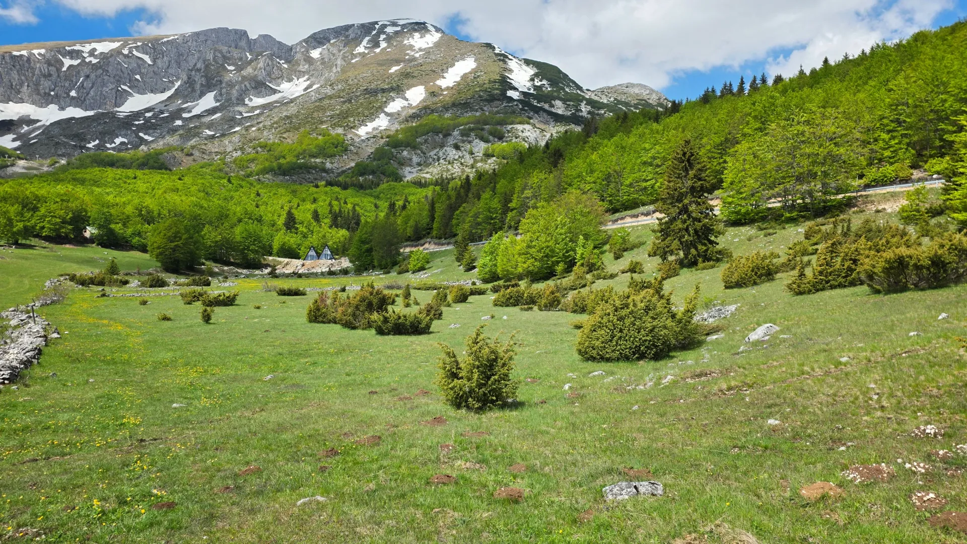 Prodaja, plac, 2500m², Motički gaj, Žabljak