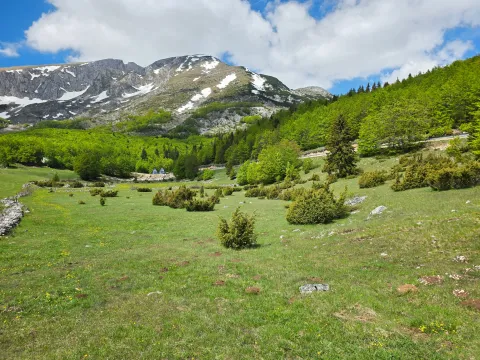 Prodaja, plac, 2500m², Motički gaj, Žabljak - image 2