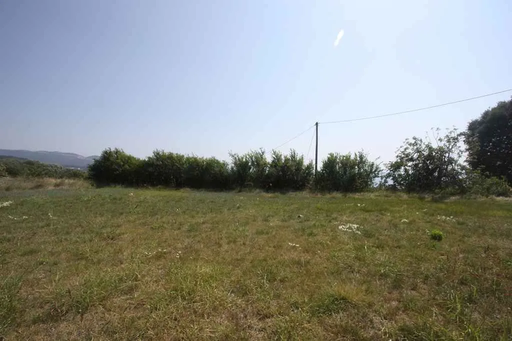 Prostran zeleni plac okružen drvećem pod jasnim nebom.