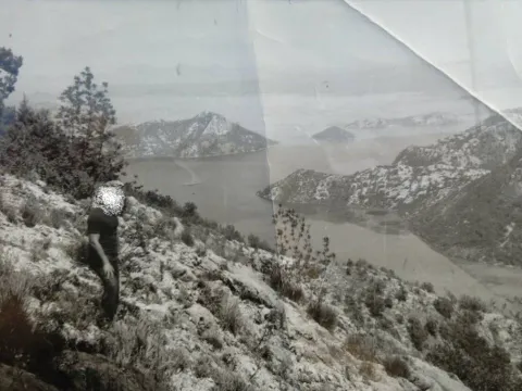 Sale, land lot, 31828m², Komarno, Bar - image 3